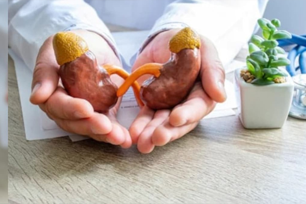 காபி சிறுநீரக பிரச்சனைகளை ஏற்படுத்துமா? | Does Coffee Cause Kidney Problems