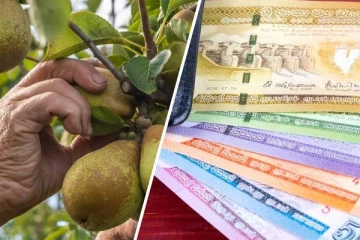 2000 ரூபாவிற்கு விற்பனையாகும் பேரிக்காய்