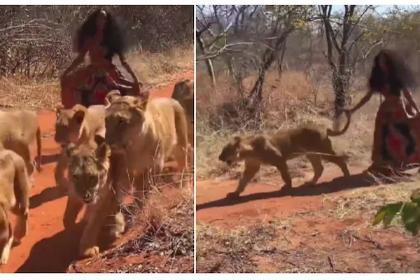 உண்மையான சிங்கப்பெண் நீ தான் ஆத்தா..இணையத்தை கலக்கும் பெண் ஒருவரின் வைரல் வீடியோ - தமிழ்நாடு