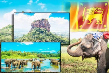 இலங்கையில் 8 இலட்சத்தைக் கடந்த சுற்றுலாப் பயணிகள் வருகை