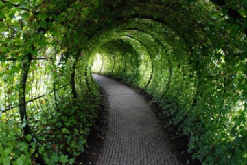 இங்கிலாந்தில் உயிரைப் பறிக்கும் விஷத் தோட்டம்;  எச்சரிக்கை பதிவு!