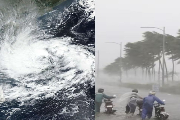 பாதிக்கப்பட்ட மக்களுக்கு காணி வழங்குவது குறித்து எடுக்கப்பட்டுள்ள நடவடிக்கை | Plan To Provide Alternative Land To People