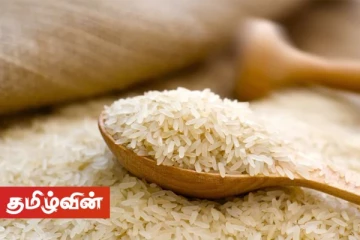 நெல்லை பதுக்கி வைக்கும் அபாயம் உள்ளதால் இலங்கையில் அரிசி விலை மேலும் அதிகரிக்கலாம் என எச்சரிக்கை