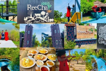 காடை வளர்ப்பில் அசத்தும் Reecha Organic Farm!