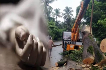 பள்ளி வளாகத்தில் முறிந்து விழுந்த மரம்.. சிக்கி உயிரிழந்த சிறுமி - முதலமைச்சர் நிவாரணம் அறிவிப்பு!