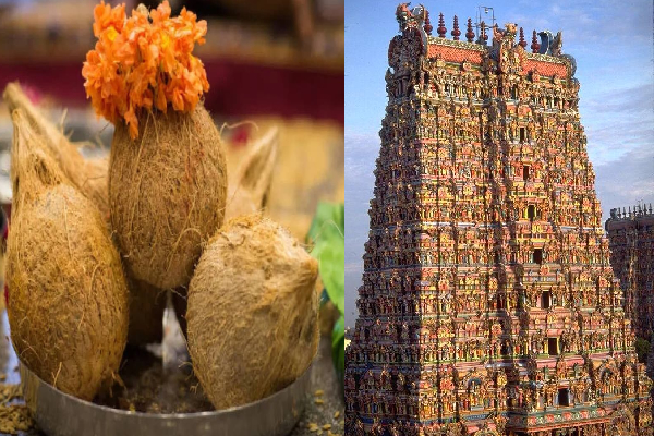 கோவிலில் உடைக்கும் தேங்காய் அழுகியிருந்தால் கெட்ட சகுணமா? | Spoiled Coconut During Temple Offering Tamil