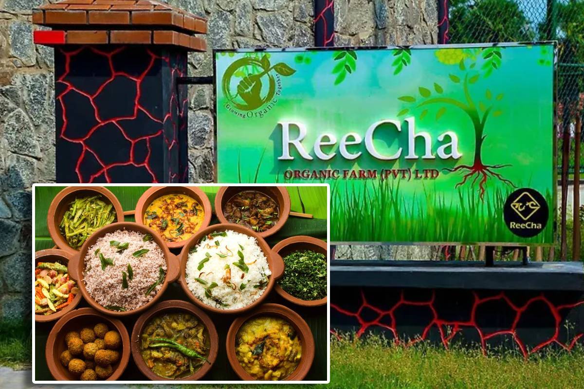 பாரம்பரிய உணவுகளை ருசிக்க திரண்ட மக்கள் ; அட்சய பாத்திரம் உணவுத் திருவிழா இடைநிறுத்தம் | Reecha Akshaya Pattharam Food Festival Suspended