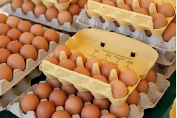 முட்டை விற்பனையில் இன்று முதல் மாற்றம்