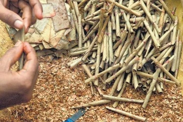 பீடிக்கு வரி விதிப்பு அறிவிப்பு