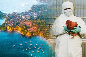 இலங்கையர்களுக்கு பறவைக் காய்ச்சல் தொடர்பில் எச்சரிக்கை