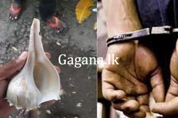 වාලම්පුරියක් සමඟ පුද්ගලයෙක් අත්අඩංගුවට...