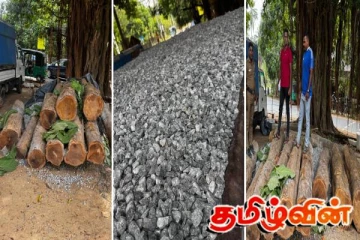 சட்டவிரோதமாக தேக்கம் மர குற்றிகளை எடுத்து வந்த சந்தேகநபர் சாவகச்சேரியில் கைது
