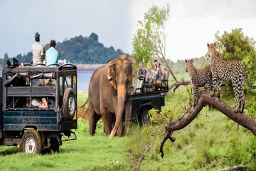 அதிகரிக்கப்பட்ட சுற்றுலா சேவை ஜீப் கட்டணம்