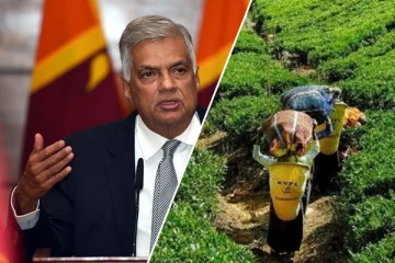 பெருந்தோட்டத் தொழிலாளர்களை வைத்து நடக்கும் அரசியல்: எழுந்துள்ள குற்றச்சாட்டு