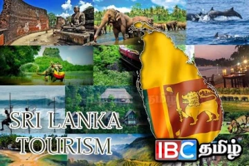 பெப்ரவரி மாதத்தில் இலங்கைக்கு வந்து குவிந்த சுற்றுலாப் பயணிகள்