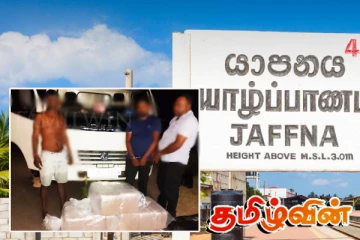 யாழில் பெருமளவான கஞ்சாவுடன் மூவர் கைது