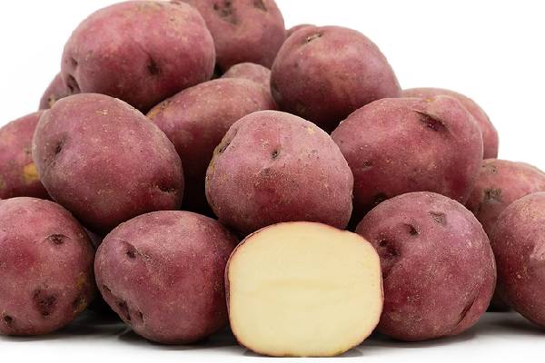 சிவப்பு அல்லது வெள்ளை இந்த இரண்டு உருளைக்கிழங்கில் எது அதிக நன்மை தரும்? | Which Potato Is More Beneficial Red Or White