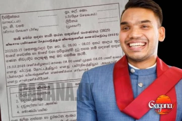 රිලව් වඳුරෝ ගණන් කරන්න නාමලුත් ලෑස්තියි