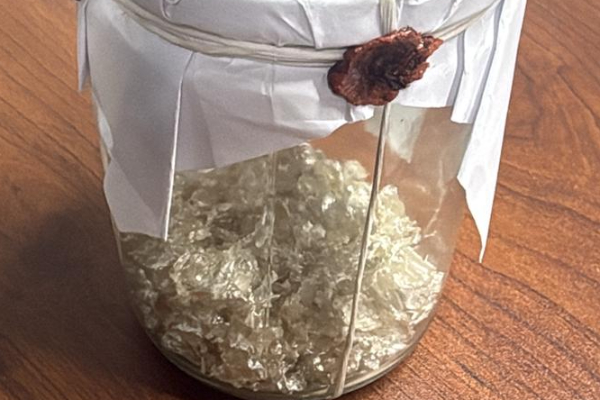 யாழில் பிள்ளையாரின் வெள்ளி கவசம் திருடியவர் கைது | Thief Arrest Silver Pillaiyar Statue Kovil Jaffna