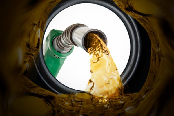 எரிபொருள் விலை தொடர்பில் அரசாங்கம் எடுத்த  தீர்மானம் | Government S Decision Regarding Fuel Prices