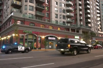 கனடாவில் கொடூர சம்பவம்: தாயை படுகொலை செய்த மகன்!