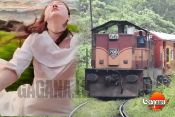 දුම්රියෙන් ඇද වැටුණු චීන කත - තත්ත්වය බරපතලයි