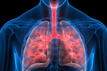 நுரையீரல் பிரச்சனைகளை சரிசெய்ய எளிய வீட்டு மருத்துவ குறிப்புகள் இதோ!