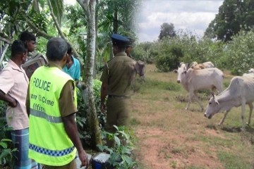 கால்நடைகள் மீது துப்பாக்கிச்சூடு நடத்தி வந்த இருவர் கைது