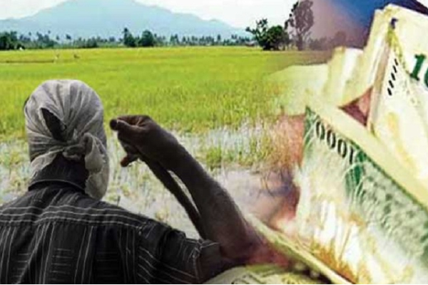 விவசாயிகளுக்கு வழங்கப்பட்ட பெரும் தொகை நிவாரணம்! | Relief Money Given To Farmers