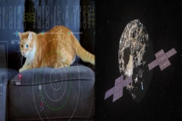 விண்வெளியிலிருந்து பூமிக்கு வந்த பூனை; 19 மில்லியன் மைல் தூரம் - NASA வரலாற்று சாதனை!