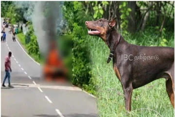 உரிமையாளரின் உயிரை காப்பாற்றிய நாய் - கரூர் அருகே நெகிழ்ச்சி சம்பவம்