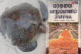 யாழில் கடலாமையுடன் கரை சேர்ந்த நபருக்கு காத்திருந்த அதிர்ச்சி