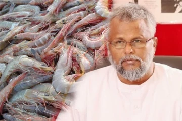 விரைவில் தீர்வு எட்டப்படும்; டக்ளஸ் தேவானந்தா!