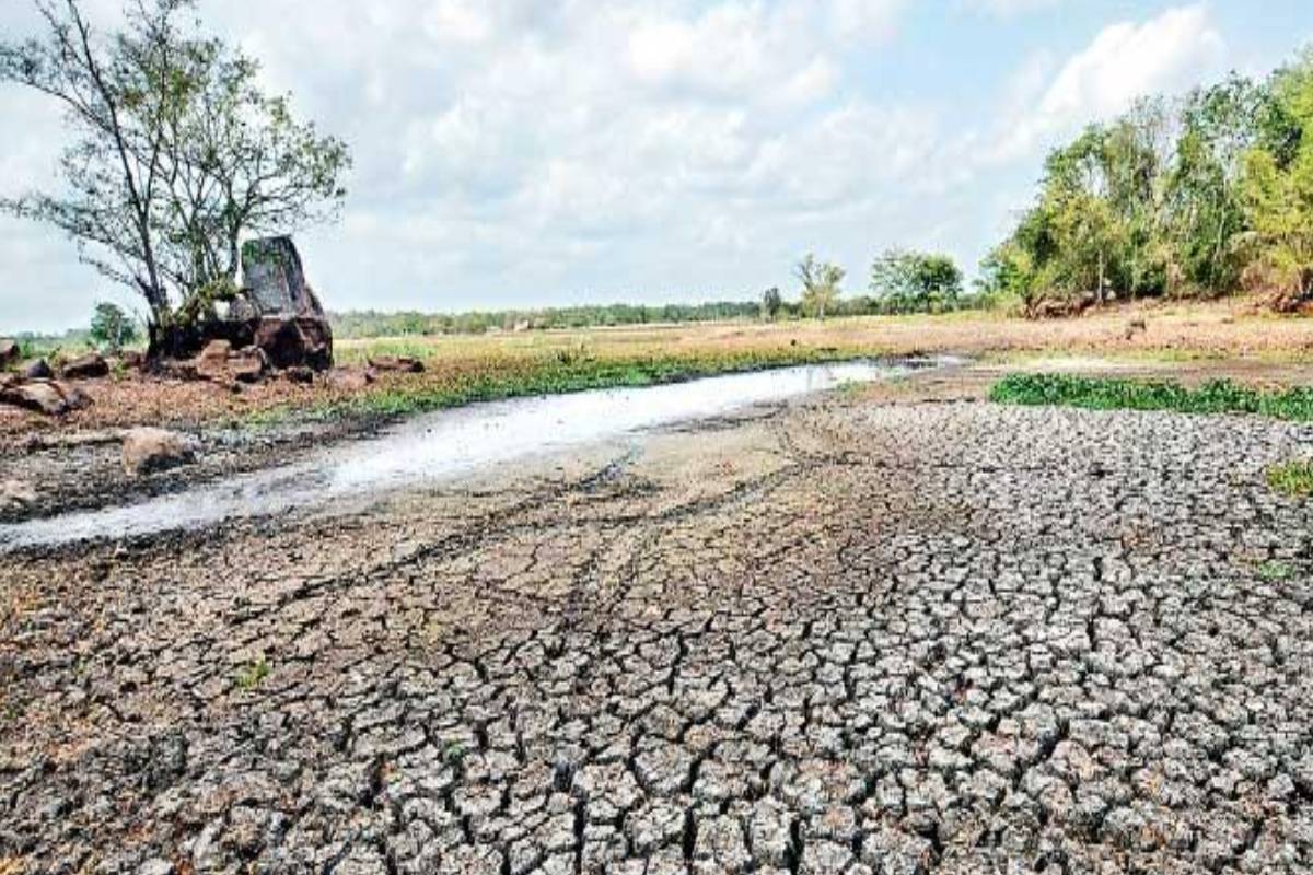 எல் நினோவால் இலங்கைக்கு வறட்சி அபாயம் - 7 மாவட்டங்களில் நீர் விநியோகம் பாதிப்பு | Drought Threat To Sri Lanka Due To El Nino