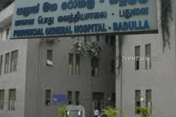 இலங்கையில் பெரும் சோகத்தை ஏற்படுத்திய சம்பவம்: பரிதாபமாக உயிரிழந்த இளைஞன்! | Father Picked Coconut Son Die Namunukula Incident