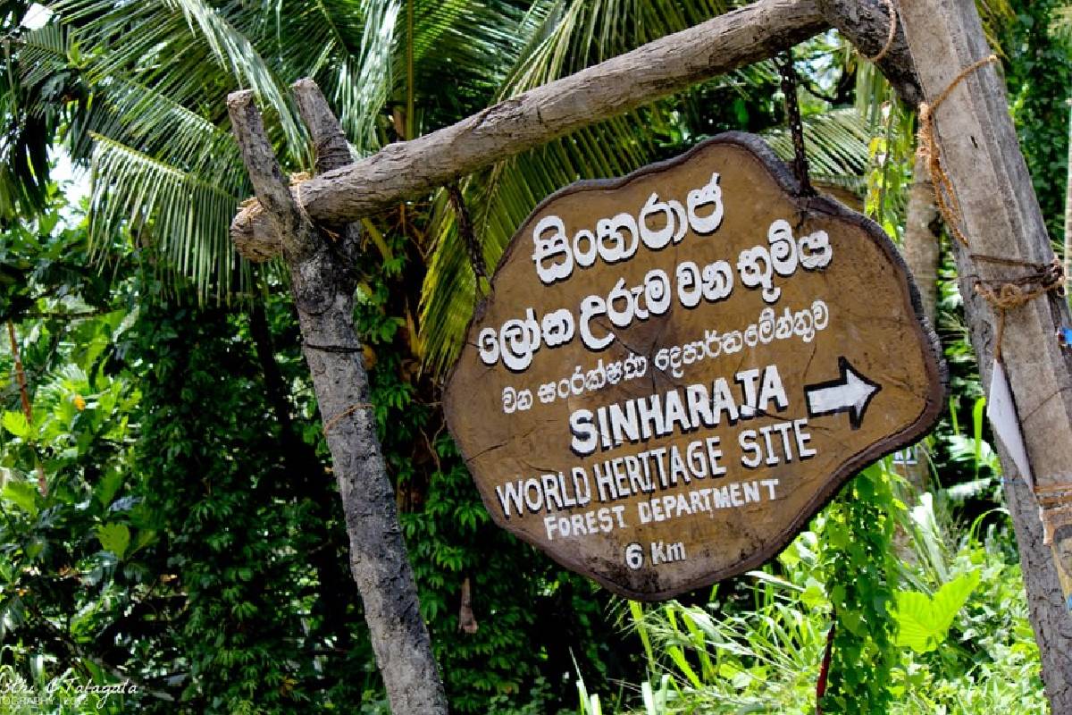 மூடப்படும் சிங்கராஜ வனப் பகுதியின் பிரதான நுழைவாயில் | Sinharaja Forest Closed New Year Holidays