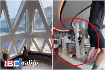 உல்லாச கப்பலில் சென்றவர்களுக்கு நொடிப்பொழுதில் ஏற்பட்ட திகிலூட்டும் அனுபவம்