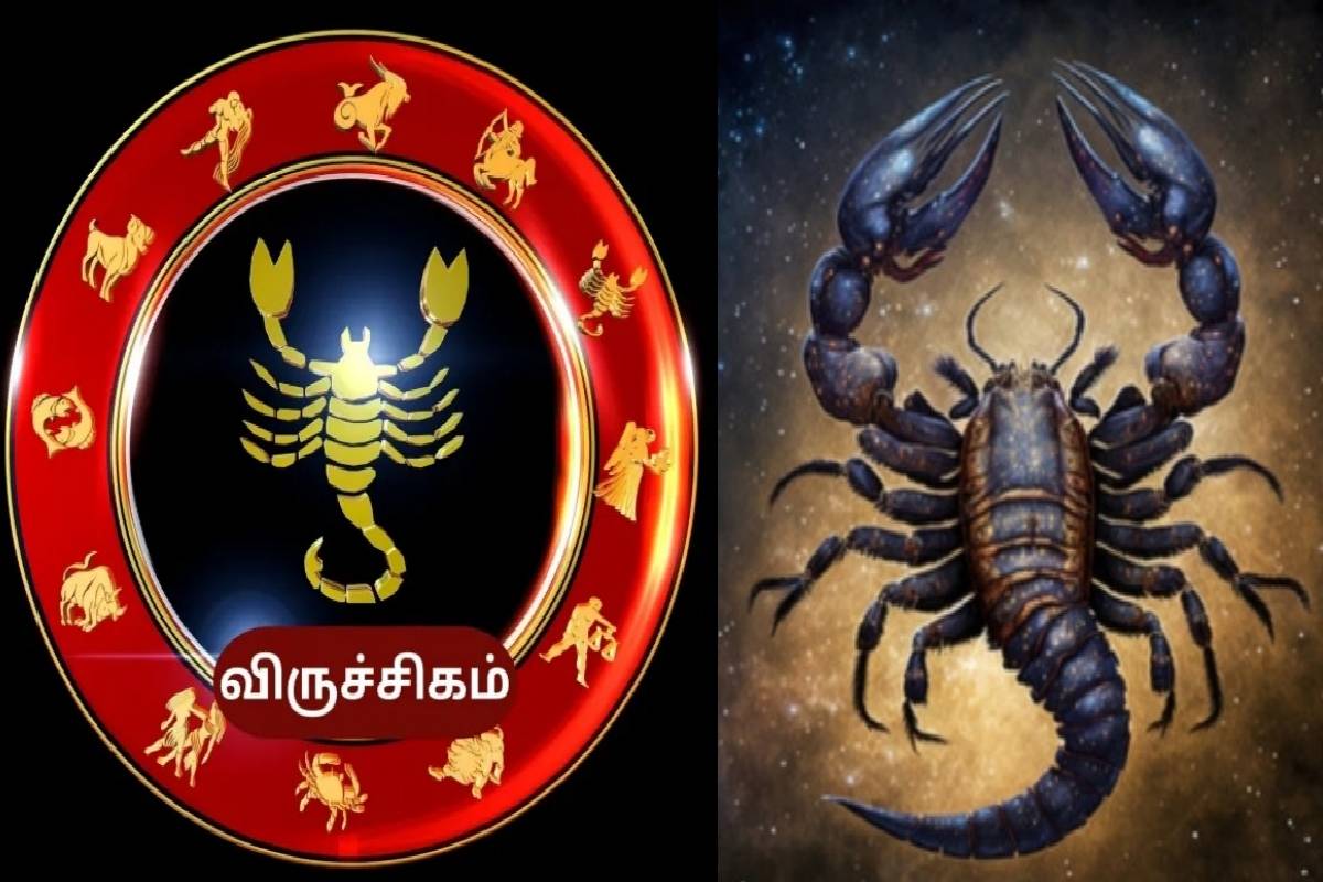 இந்த ராசி பெண்கள் நினைத்ததை சாதிக்காமல் ஓயவே மாட்டார்களாம்... உங்க ராசியும் இதுவா? | Which Zodiac Zings Women Are Self Made