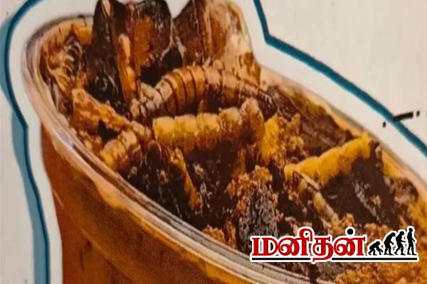 கரப்பான் பூச்சி மிதக்கும் காபி.. விரும்பி குடிக்கும் இளைஞர்கள்- 1 கப் எவ்வளவு தெரியுமா? | Cockroach Coffee Launch China Museum Offers கரப்பான் பூச்சி மிதக்கும் காபி.. விரும்பி குடிக்கும் இளைஞர்கள்- 1 கப் எவ்வளவு தெரியுமா? | Cockroach Coffee Launch China Museum Offers