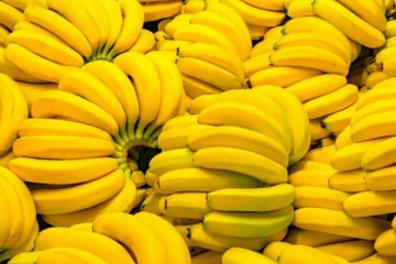 இலங்கையின் தலையெழுத்தை மாற்றப் போகும் வாழைப்பழம்