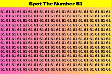 Optical illusion: கண்பார்வையை சோதிக்கலாம் இந்த படத்தில் '51' எங்கே உள்ளது?
