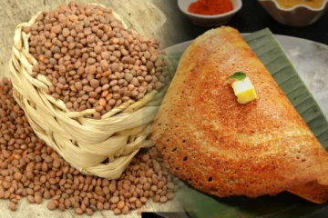 உடலிற்கு சத்தான கொள்ளு தோசை.., இலகுவாக செய்வது எப்படி?