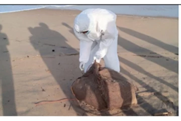 சிலாபம் கடற்கரையில் கரை ஒதுங்கிய மர்மப் பொதிகளால் பரபரப்பு