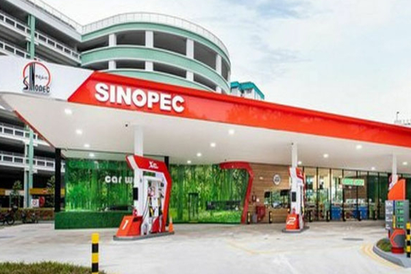 எரிபொருள் ஒதுக்கீட்டு முறையை இரத்து செய்ய தீர்மானம்! | Fuel Price Sri Lanka Qr Cord System Destruction