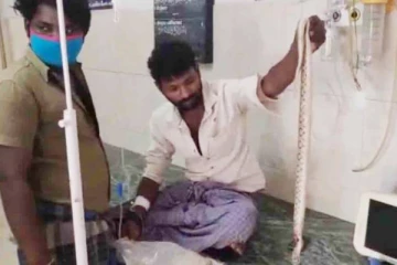 கடித்த பாம்பை உயிருடன் கையில் பிடித்து மருத்துவமனைக்கு வந்த சகோதரர்கள் - அலறி அடித்துக் கொண்டு ஓடின பொதுமக்கள்!