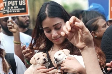 தெரு நாய் கடிச்சா அதை பெருசு பண்ணாதீங்க.. நிவேதா பெத்துராஜை வறுத்தெடுக்கும் நெட்டிசன்கள்