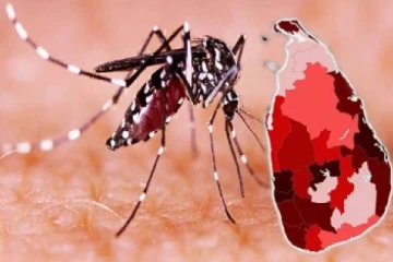 நாட்டில் டெங்கு நோயினால் உயிரிழந்தவர்களின் எண்ணிக்கை 35 ஆக உயர்வு