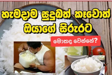 හැමදාම සුදුබත් කෑවොත් වෙන දේ දැනගෙන හිටියද? එහෙනම් අනිවාර්යයෙන්ම බලන්න..(PHOTOS)