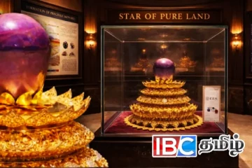 உலகின் மிகப்பெரிய இயற்கை ஊதா நட்சத்திர நீலக்கல் இலங்கையில்