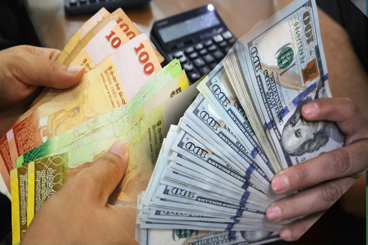 டொலருக்கு நிகரான இலங்கை ரூபாயின் பெறுமதி அதிகரிப்பு! | Sri Lankan Rupee Appreciates Against The Dollar டொலருக்கு நிகரான இலங்கை ரூபாயின் பெறுமதி அதிகரிப்பு! | Sri Lankan Rupee Appreciates Against The Dollar